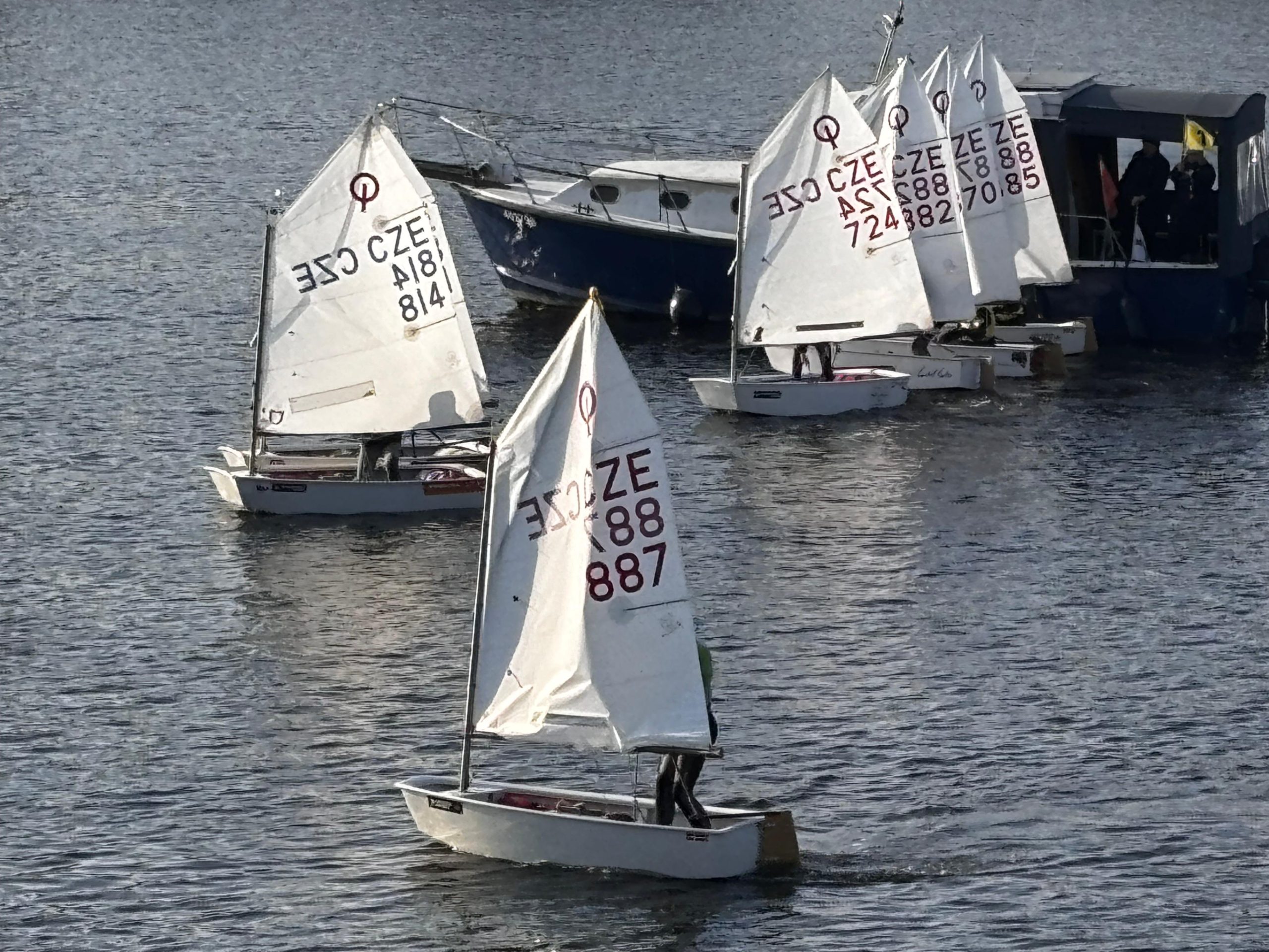 Mistrovství ČR v team racingu třídy Optimist – opět medaile